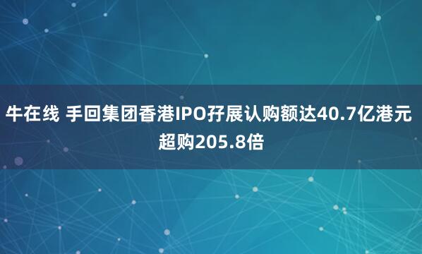 牛在线 手回集团香港IPO孖展认购额达40.7亿港元 超购205.8倍