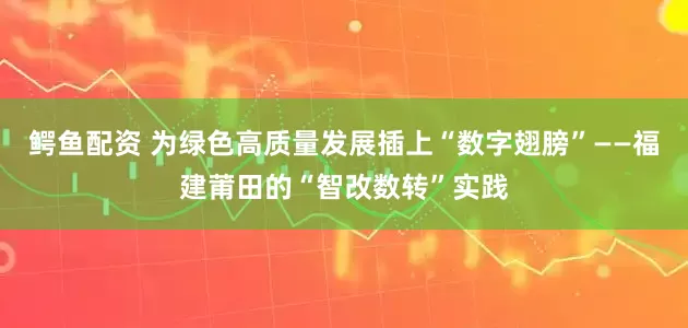 鳄鱼配资 为绿色高质量发展插上“数字翅膀”——福建莆田的“智改数转”实践