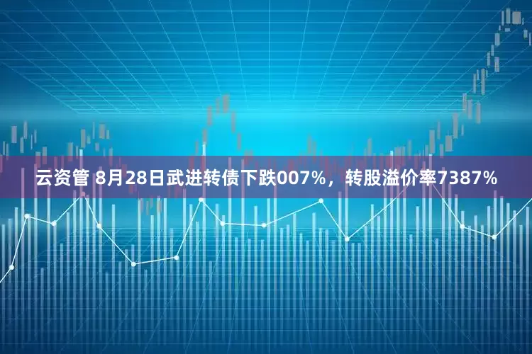 云资管 8月28日武进转债下跌007%，转股溢价率7387%